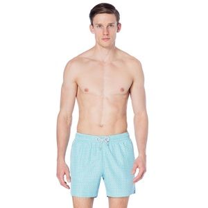 Blue Mint Logan Lightweight Swim Shorts in Kube